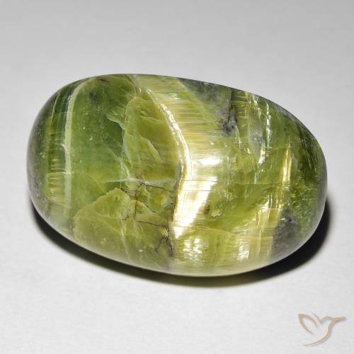 16.99ct 天然 黄绿色 猫眼蛋白石, 椭圆形, 不透明