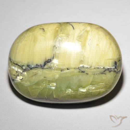 30.92ct 天然 大地绿 猫眼蛋白石, 椭圆形, 不透明