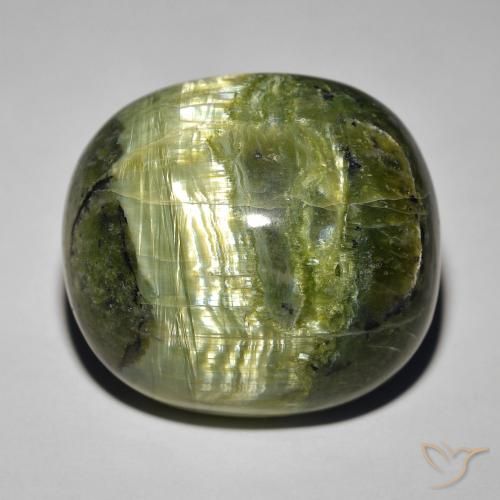 32.39ct 天然 棕绿色 猫眼蛋白石, 椭圆形, 不透明