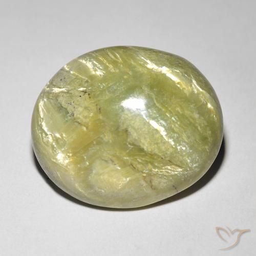 9.84ct 天然 温暖的森林绿 猫眼蛋白石, 椭圆形, 不透明