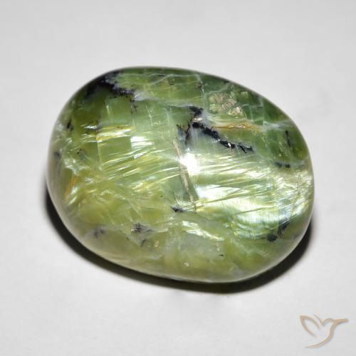 14.55ct 天然 中绿色 猫眼蛋白石, 椭圆形, 不透明