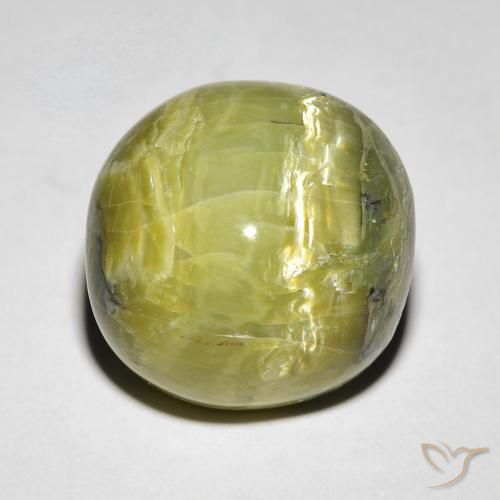 10.64ct 天然 大地绿 猫眼蛋白石, 椭圆形, 不透明