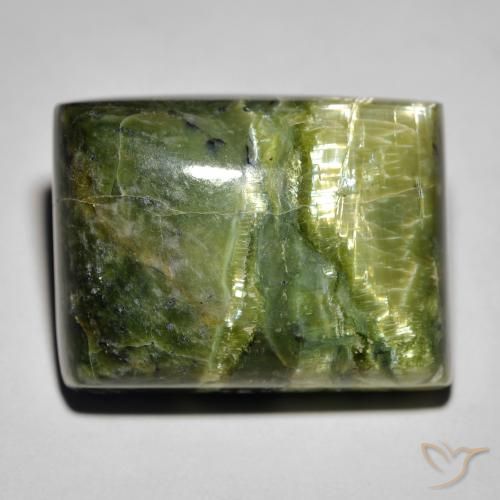 25.23ct 天然 大地绿 猫眼蛋白石, 狭长方形, 不透明