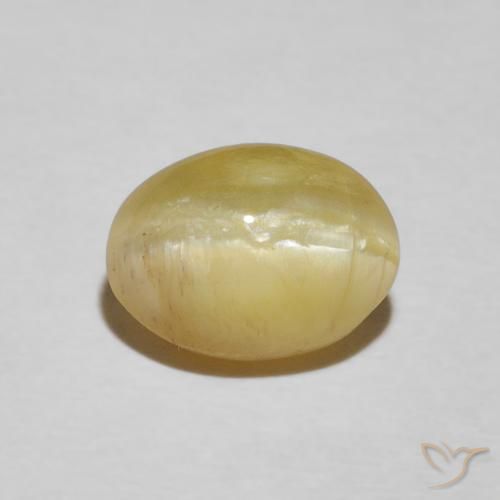 2.24ct 天然 中黄色 猫眼蛋白石, 椭圆形, 不透明