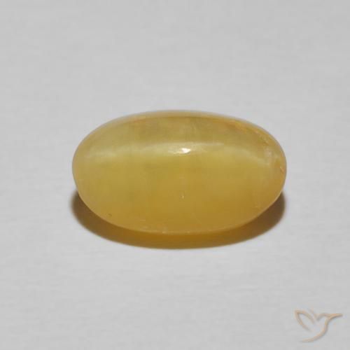 2.71ct 天然 皇家黄 猫眼蛋白石, 椭圆形, 不透明