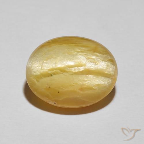 8.78ct 天然 中黄色 猫眼蛋白石, 椭圆形, 不透明
