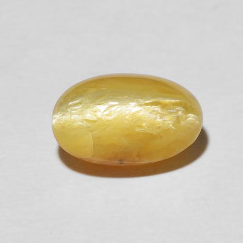 2.61ct 天然 金橙色 猫眼蛋白石, 椭圆形, 不透明