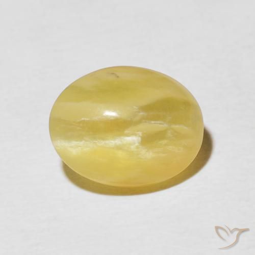 2.65ct 天然 金黄色 猫眼蛋白石, 椭圆形, 不透明