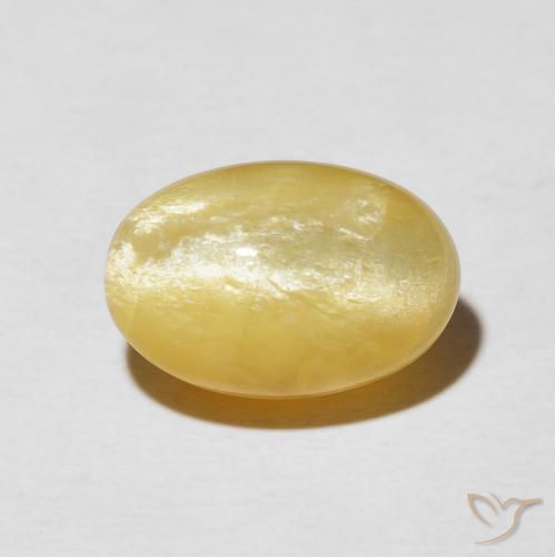 6.04ct 天然 中金 猫眼蛋白石, 椭圆形, 不透明
