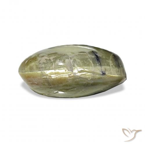 3.02ct 黄绿色 猫眼蛋白石, 椭圆形, 不透明