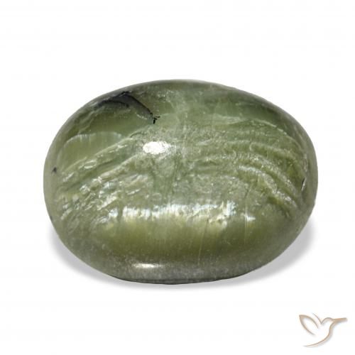 2.64ct 黄绿色 猫眼蛋白石, 椭圆形, 不透明