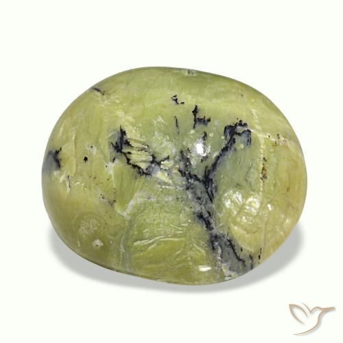 8.96克拉天然多色Cat's Eye Opal，椭圆形切割，16.2×13毫米，不透明
