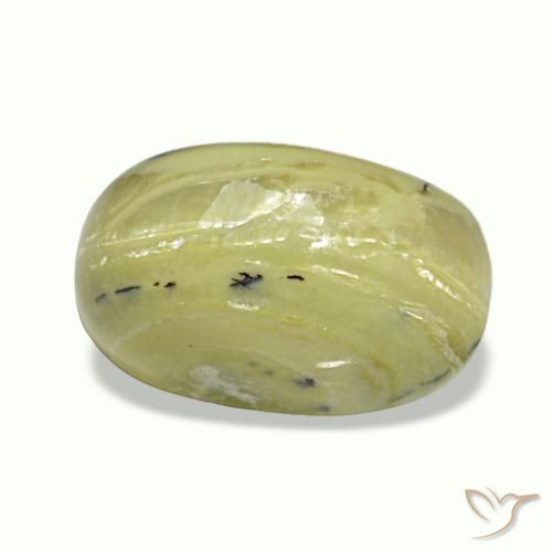 3.73克拉天然多色Cat's Eye Opal，椭圆形切割，12.4×7.5毫米，不透明