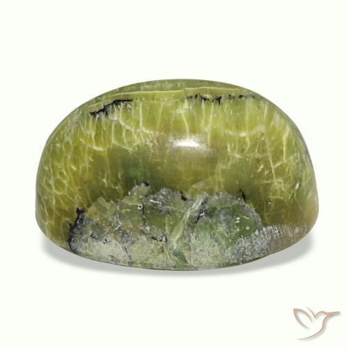 12.02克拉天然多色Cat's Eye Opal，椭圆形切割，17.6×11.9毫米，不透明