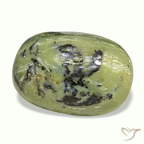 9.57克拉天然多色Cat's Eye Opal，椭圆形切割，18.9×12.7毫米，不透明