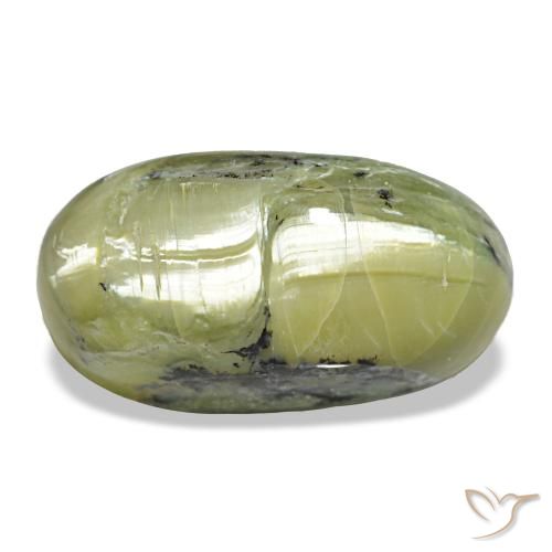 9.66克拉天然绿色Cat's Eye Opal，椭圆形切割，18.1×9.8毫米，不透明