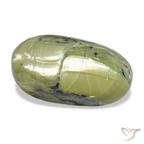 9.66克拉天然绿色Cat's Eye Opal，椭圆形切割，18.1×9.8毫米，不透明