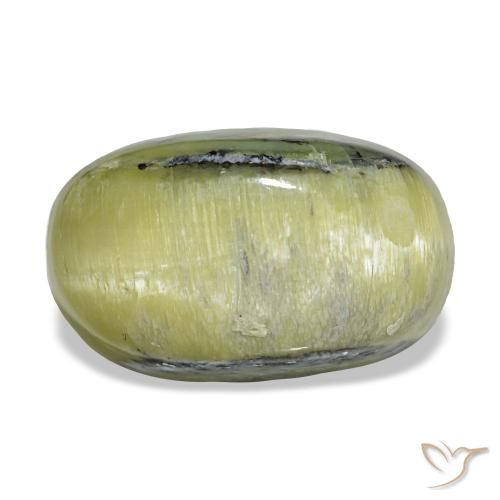 4.62克拉天然绿色Cat's Eye Opal，椭圆形切割，13.1×8.1毫米，不透明