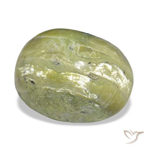 11.22克拉天然绿色Cat's Eye Opal，椭圆形切割，16.1×12毫米，不透明
