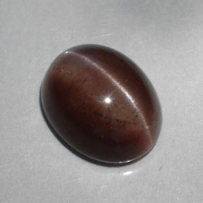 5.30克拉天然棕色Cat's Eye Scapolite，椭圆形切割，12.1×9.6毫米，半透明