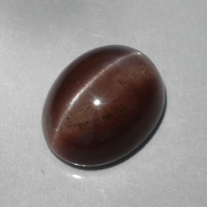 5.30克拉天然棕色Cat's Eye Scapolite，椭圆形切割，12.1×9.6毫米，半透明