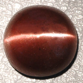 4.26克拉天然棕色Cat's Eye Scapolite，椭圆形切割，10.3×10.2毫米，不透明