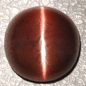 4.26克拉天然棕色Cat's Eye Scapolite，椭圆形切割，10.3×10.2毫米，不透明