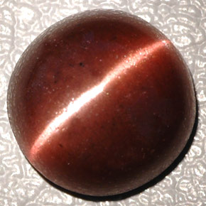 4.26克拉天然棕色Cat's Eye Scapolite，椭圆形切割，10.3×10.2毫米，不透明