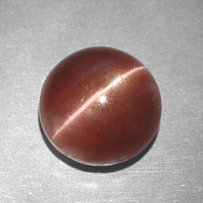 2.78克拉天然棕色Cat's Eye Scapolite，圆形切割，8.16毫米，不透明