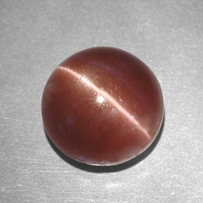 2.78克拉天然棕色Cat's Eye Scapolite，圆形切割，8.16毫米，不透明