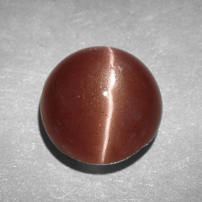 2.78克拉天然棕色Cat's Eye Scapolite，圆形切割，8.16毫米，不透明