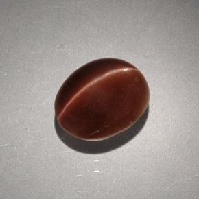 2.56克拉天然棕色Cat's Eye Scapolite，椭圆形切割，9.1×7.3毫米，不透明