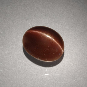 2.56克拉天然棕色Cat's Eye Scapolite，椭圆形切割，9.1×7.3毫米，不透明