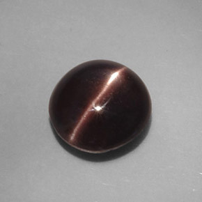 3.46克拉天然棕色Cat's Eye Scapolite，椭圆形切割，9.4×8.9毫米，不透明