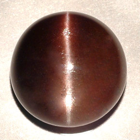 11.06克拉天然棕色Cat's Eye Scapolite，圆形切割，13.87毫米，半透明