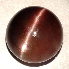 11.06克拉天然棕色Cat's Eye Scapolite，圆形切割，13.87毫米，半透明