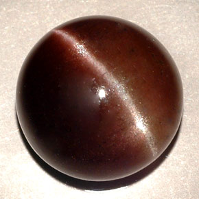 11.06克拉天然棕色Cat's Eye Scapolite，圆形切割，13.87毫米，半透明