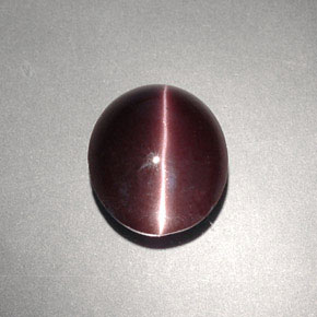 4.00克拉天然棕色Cat's Eye Scapolite，椭圆形切割，10.6×9.1毫米，不透明