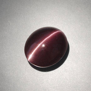 4.00克拉天然棕色Cat's Eye Scapolite，椭圆形切割，10.6×9.1毫米，不透明