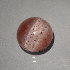 2.23克拉天然棕色Cat's Eye Scapolite，透明，7.48毫米，透明/半透明