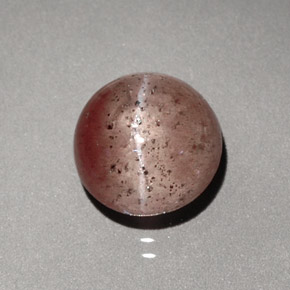 2.23克拉天然棕色Cat's Eye Scapolite，透明，7.48毫米，透明/半透明