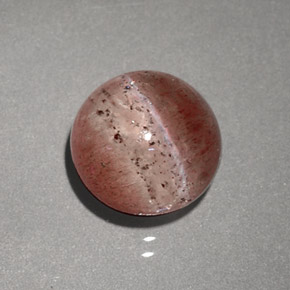 2.23克拉天然棕色Cat's Eye Scapolite，透明，7.48毫米，透明/半透明