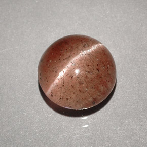 1.96克拉天然棕色Cat's Eye Scapolite，透明，7.75毫米，透明/半透明