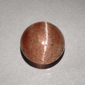 1.96克拉天然棕色Cat's Eye Scapolite，透明，7.75毫米，透明/半透明
