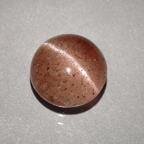 1.96克拉天然棕色Cat's Eye Scapolite，透明，7.75毫米，透明/半透明
