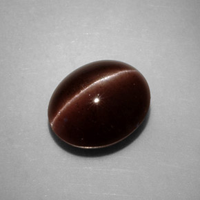 3.52克拉天然棕色Cat's Eye Scapolite，椭圆形切割，10×8.4毫米，不透明