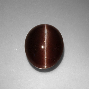 3.52克拉天然棕色Cat's Eye Scapolite，椭圆形切割，10×8.4毫米，不透明