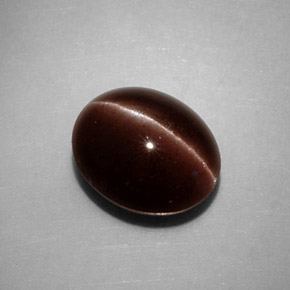 3.52克拉天然棕色Cat's Eye Scapolite，椭圆形切割，10×8.4毫米，不透明