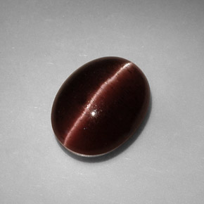 3.41克拉天然棕色Cat's Eye Scapolite，椭圆形切割，10.5×8.1毫米，不透明