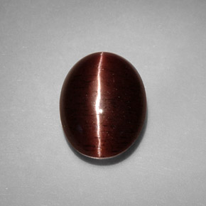 3.41克拉天然棕色Cat's Eye Scapolite，椭圆形切割，10.5×8.1毫米，不透明